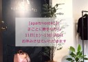 11月11日